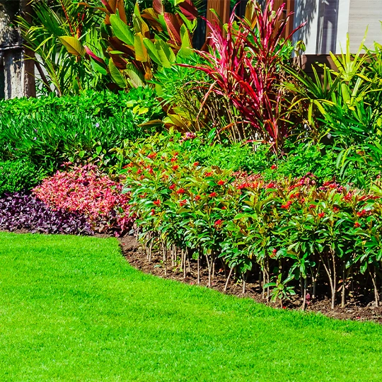 Engrais: nourrissez votre jardin pour une croissance saine